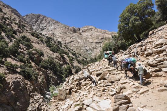 Haute vallée de l'oued Nfis