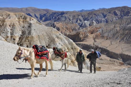 Les deux compères Karma Tsundi et Tsewang Rindze