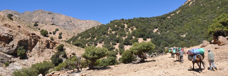 Haute vallée de l'oued Nfis