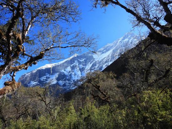 Un peu avant d'arriver à Chaur bag kharka apparaît le Dhaulagiri I