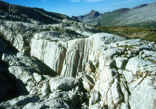 Les lapiaz qui défendent l'accès à la pointe de Sales