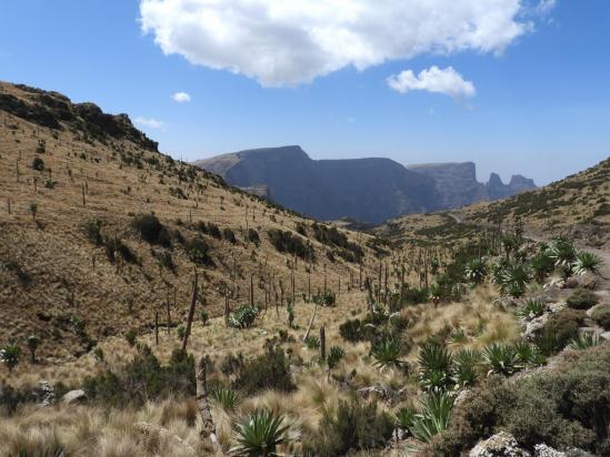 Dans le thalweg à la végétation d'altitude, redescente vers Chenek