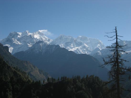 Le Manaslu vu depuis Timang