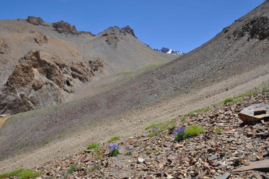 Montée vers le Tarti La (le bon col...)