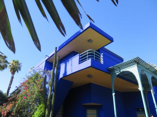 Marrakech (Jardin Majorelle)