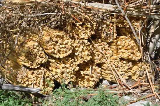 Chantier des coupeurs de bois dans la vallée en aval de Lanak