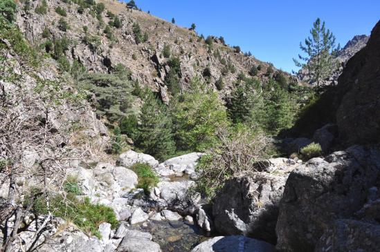 Remontée du vallon de Pinara