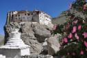 Bardan gompa