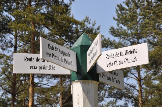 Carrefour de pistes au coeur de la forêt d'Ermenonville