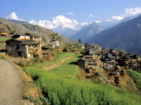 Le village de Jhi (le Dhaulagiri I ferme la vallée)