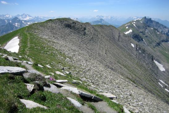 Vue arrière sur la crête du Mont Joly (le Beaufortain est à l'horizon)