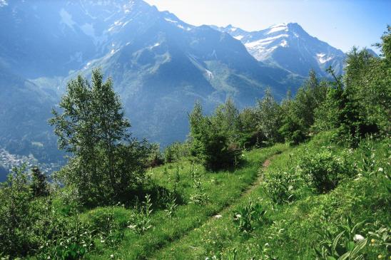 Descente sur les Contamines-Montjoie face au Mont Tondu