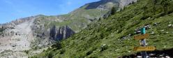 Sur l'itinéraire de montée au Cuchon