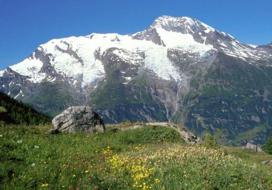 Vous aurez bien l'opportunité de venir au Monal pour déguster cette sublime vue du Mont Pourri, non ?