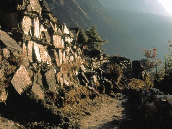 Mur de manis à Lhogaon