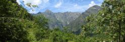 Molines-en-Champsaur (vallon du torrent de la Muande)