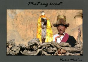 Mustang secret livre
