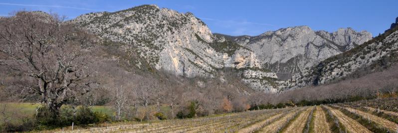 Drôme - Saoû (le Pas de Lestang)