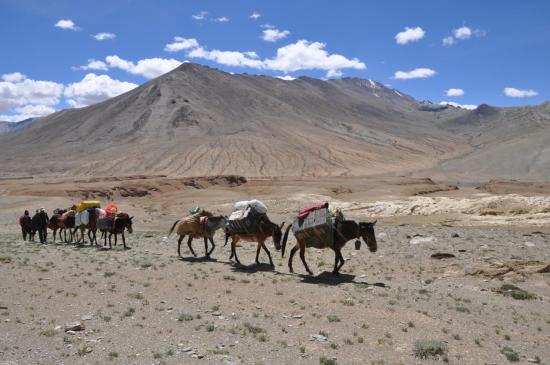 Notre caravane traverse le plateau de Kharnag