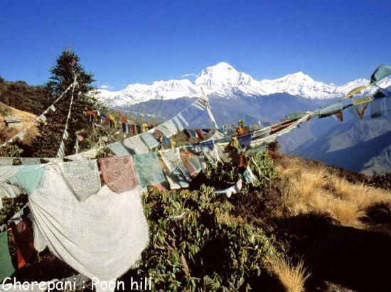 Depuis Poon hill on dispose d'une vue sans obstacle sur le Dhaulagiri I et ses satellites