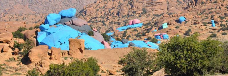 Les Rochers Peints de Tafraoute