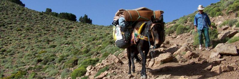 Dans la descente du tizi Mzic