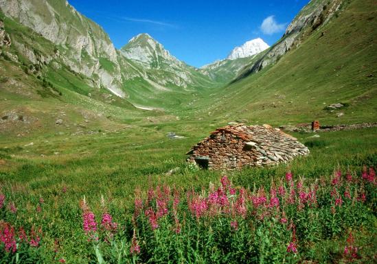 Remontée du vallon d'Arp