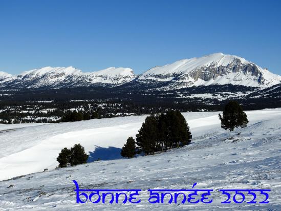 Bonne Année 2022